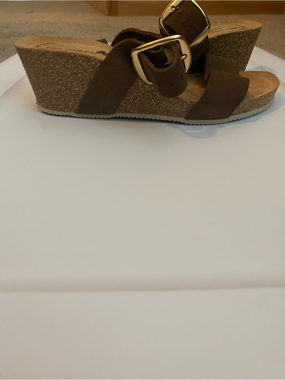Bio Green Women’s Casual Brown Wedge Slide Sandals with Buckle Straps